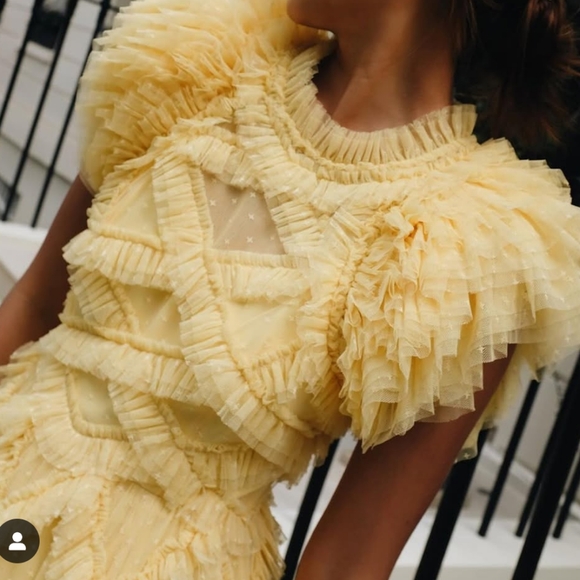 BHLDN Needle & Thread Dress size US 6 $749 - Picture 8 of 11